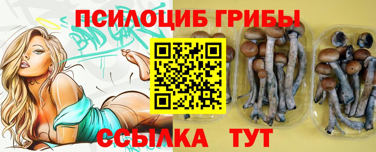 Ефремов  Псилоцибиновые грибы мицелий  Вход с VPN 